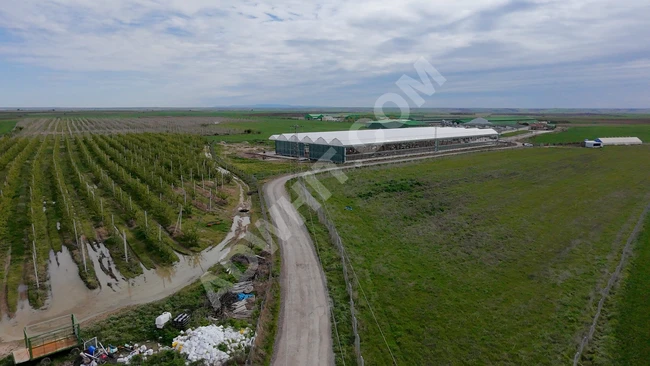 Lüleburgaz Ovacık Köyünde Kurulu Çiftlik 19 Dönüm Satılık Tarla