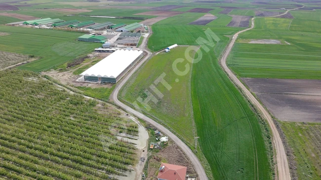 Lüleburgaz Ovacık Köyünde Kurulu Çiftlik 19 Dönüm Satılık Tarla