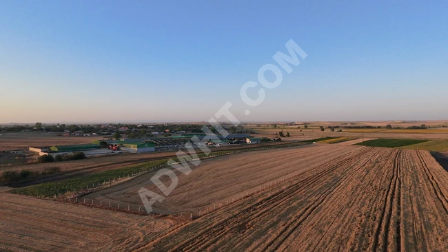 Lüleburgaz Ovacık Köyünün içinde 24.160 m² Satılık Tarla