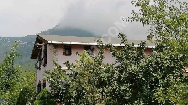 PAMUKOVA'DA SATILIK 3700M2 ARSA MÜSTAKİL EŞYALI VİLLA