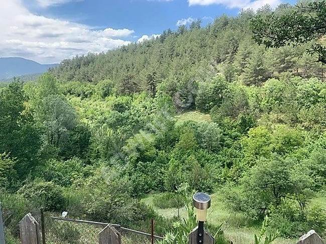 SAKARYA TARAKLIDA 4.200 m2 SATILIK ÇİFTLİK