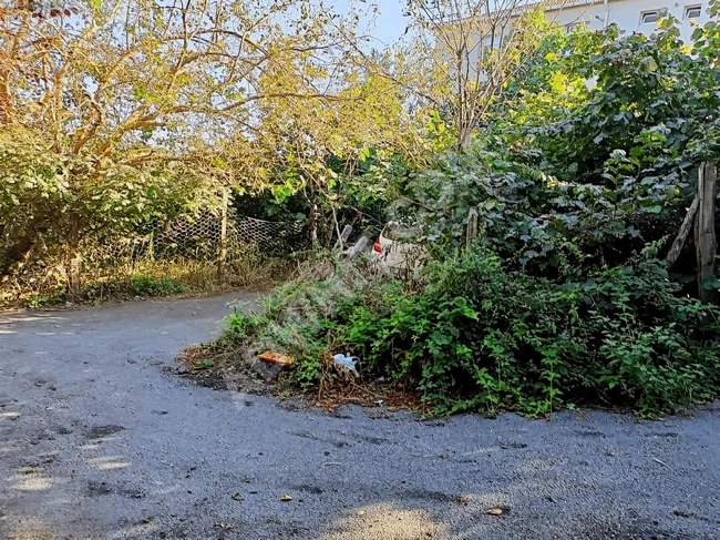 BEYKOZ ÖRNEKKÖY'DE 1.480 m2 SATILIK ARSA