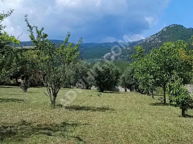 PAMUKOVA'DA SATILIK 3700M2 ARSA MÜSTAKİL EŞYALI VİLLA