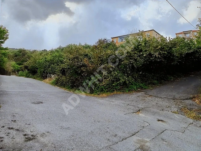 BEYKOZ ÖRNEKKÖY'DE 1.480 m2 SATILIK ARSA