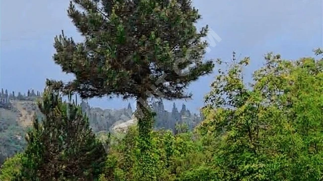 KARAMÜRSEL PAZARKÖYDE SATILIK ARSA