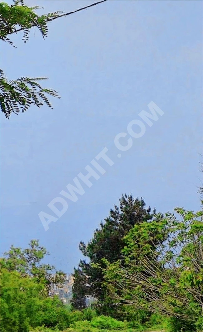 KARAMÜRSEL PAZARKÖYDE SATILIK ARSA