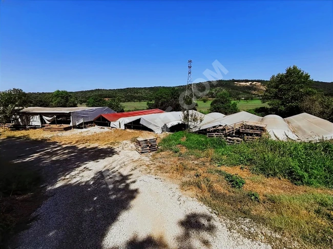 ALİBAHADIRDA 4.000 m2 ARSA İÇERİSİNDE ÇİFTLİK