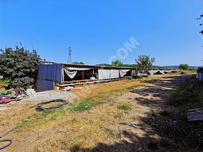 ALİBAHADIRDA 4.000 m2 ARSA İÇERİSİNDE ÇİFTLİK