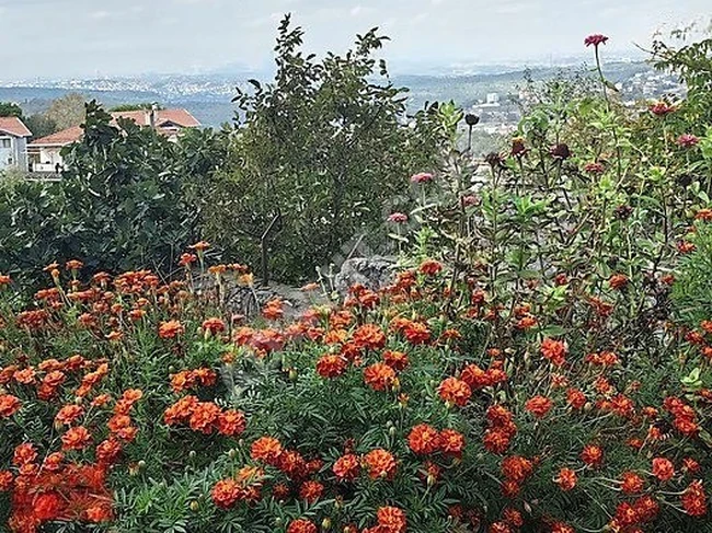 YAVUZSELİM MAHALLESİNDE %50 KAT KARŞILIĞI ARSA