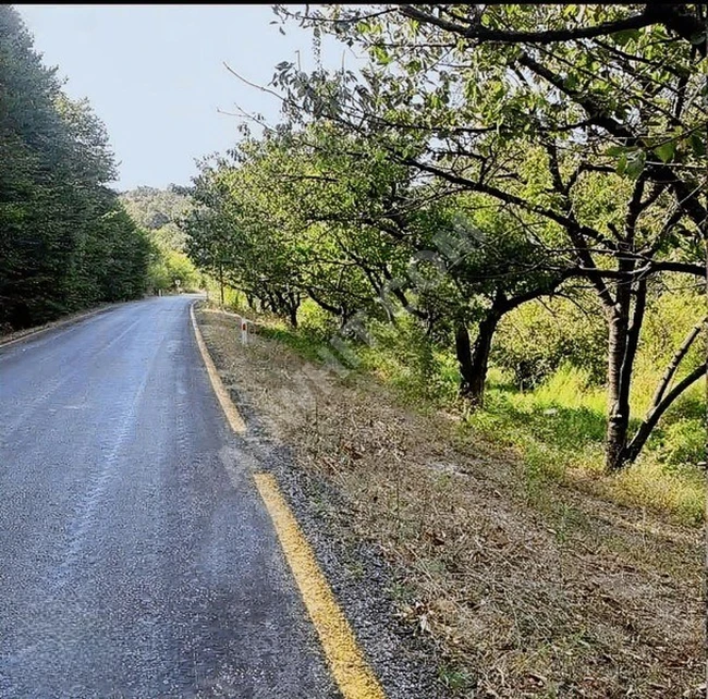 AR-KON DAN LAPSEKİ BEYÇAYIRDA ÇAPLI MUVAFAKATNAMELİ UYGUN FİYATA