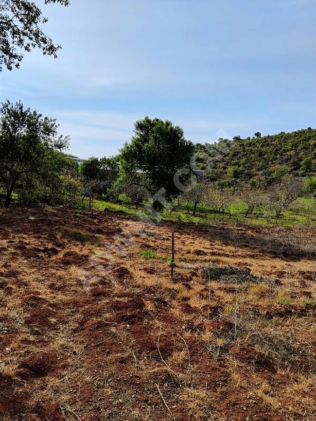 MARAŞ EMLAKTAN ANA YOL KENARI UZUNSÖĞÜT DE SATILIK 5 DÖNÜM BAĞ