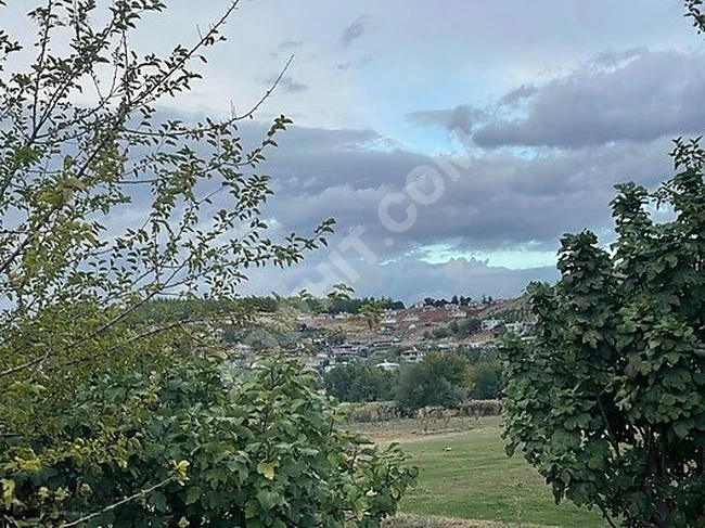 MARAŞ EMLAKTAN ONİKİŞUBAT ALTINOVA DA SATILIK TARLA