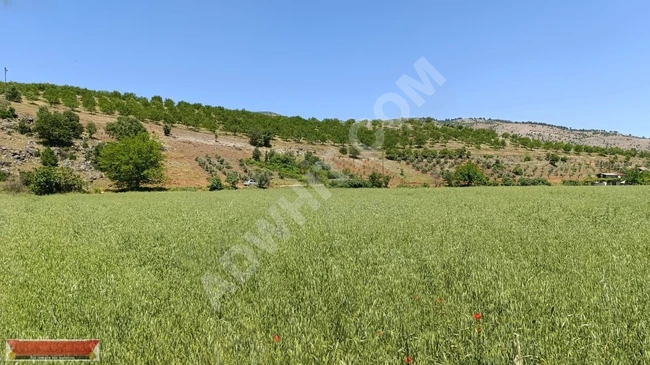 MARAŞ EMLAKTAN SATILIK 3711 METRE KARE TEK TAPU TARLA