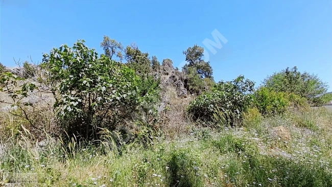 MARAŞ EMLAKTAN ALTINOVADA SATILIK TEK TAPU TARLA