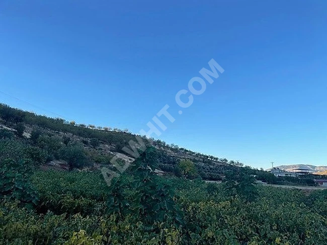 MARAŞ EMLAKTAN ONİKİŞUBAT ALTINOVA DA TEK TAPULU SIFIR EV