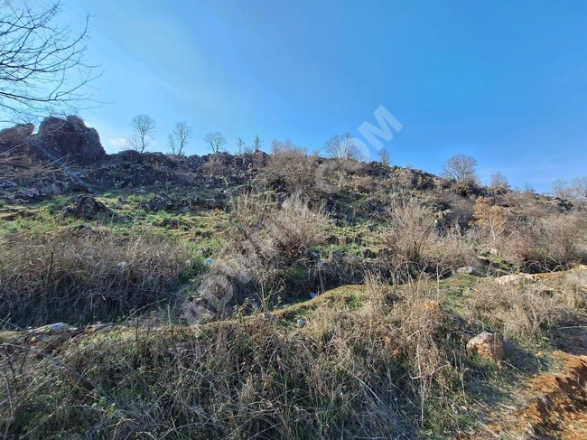 MARAŞ EMLAKTAN SATILIK 3711 METRE KARE TEK TAPU TARLA