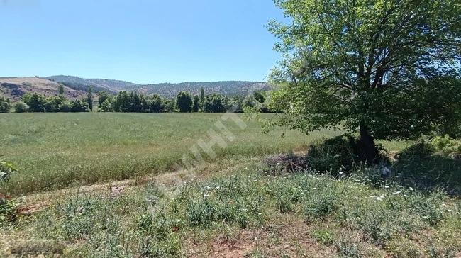 MARAŞ EMLAKTAN ALTINOVA DA SATILIK TAPULU 1500 METRE KARE TARLA