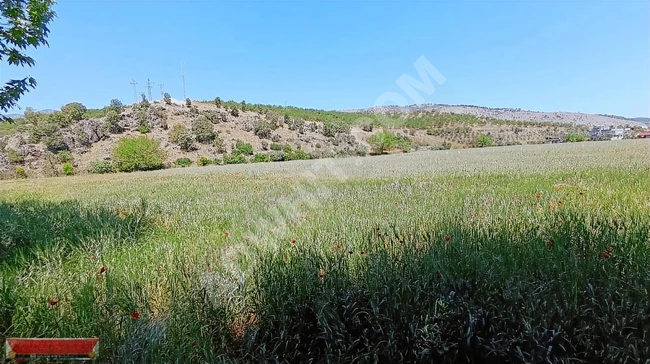 MARAŞ EMLAKTAN ALTINOVADA SATILIK TEK TAPU TARLA