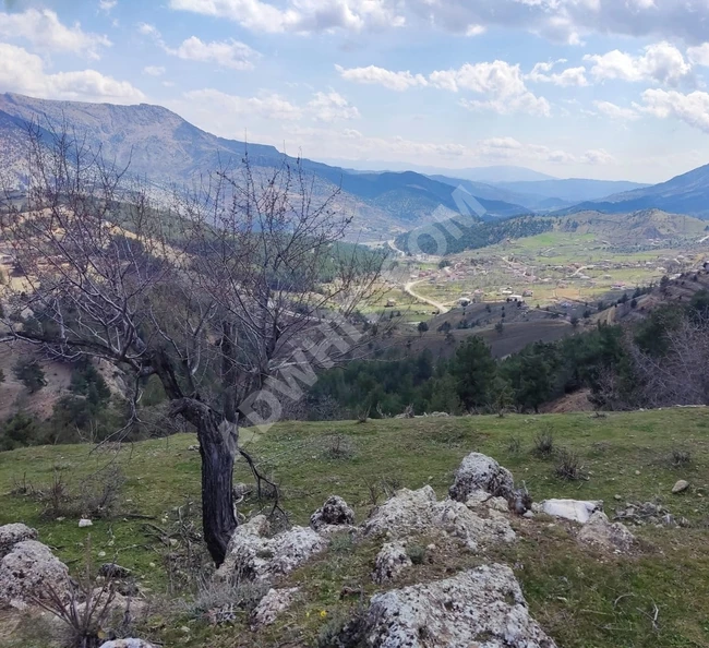 MARAŞ EMLAKTAN TEKİR DE SATILIK 6390 M2 ARAZİ