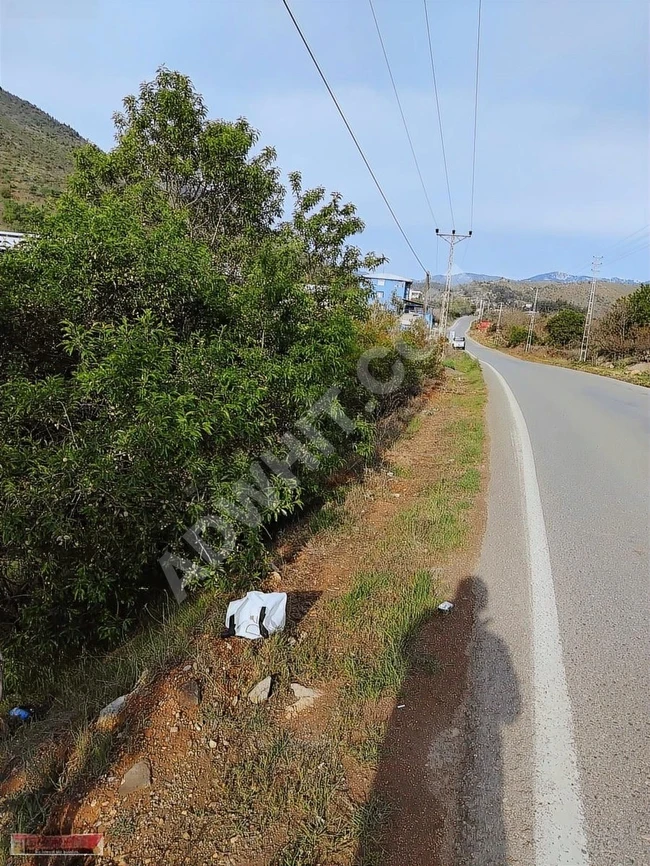 MARAŞ EMLAKTAN ANA YOL KENARI UZUNSÖĞÜT DE SATILIK 5 DÖNÜM BAĞ