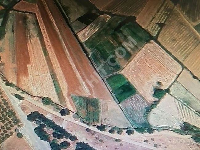 MARAŞ EMLAKTAN ONİKİŞUBAT ALTINOVA DA SATILIK TARLA