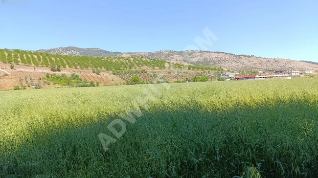 MARAŞ EMLAKTAN ALTINOVA DA SATILIK TAPULU 1500 METRE KARE TARLA