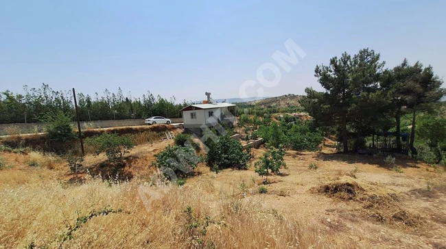 MARAŞ EMLAKTAN YUSUF HACILI DA SATILIK 1 DÖNÜM BAĞ