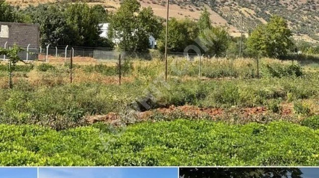 MARAŞ EMLAKTAN ONİKİŞUBAT ALTINOVA DA SATILIK TARLA