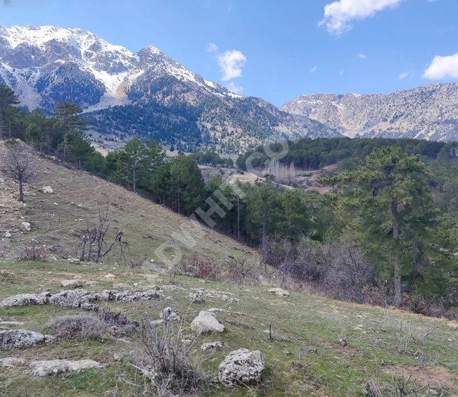 MARAŞ EMLAKTAN TEKİR DE SATILIK 6390 M2 ARAZİ