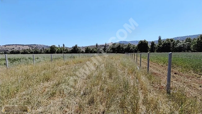 MARAŞ EMLAKTAN ALTINOVA DA SATILIK TAPULU 1500 METRE KARE TARLA