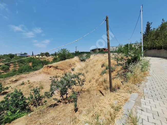 MARAŞ EMLAKTAN YUSUF HACILI DA SATILIK 1 DÖNÜM BAĞ