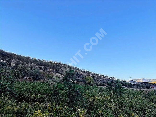 MARAŞ EMLAKTAN ONİKİŞUBAT ALTINOVA DA TEK TAPULU SIFIR EV