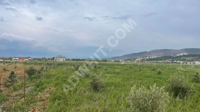 MARAŞ EMLAKTAN ALTINOVA MAH.SATILIK 9 DÖNÜM TAPUSUZ ARAZİ