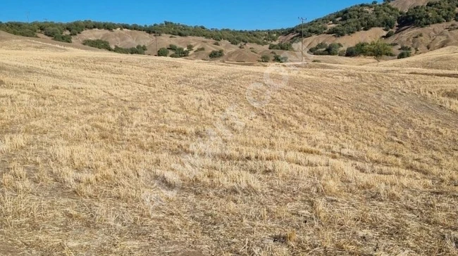 MARAŞ EMLAKTAN ÇOKYAŞAR DA SATILIK 24 DÖNÜM TARLA