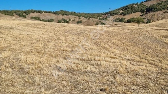 MARAŞ EMLAK'TAN ÇOKYAŞAR DA SATILIK TEK TAPU TARLA