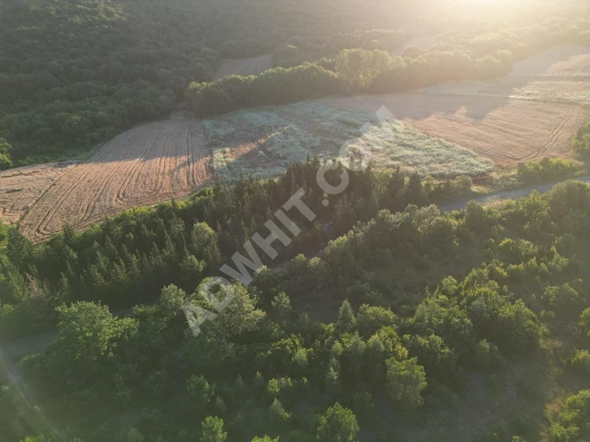 ÇATALCA AKALAN TAPULU GÖGÇEALİ KÖY SINIRINDA 344M2 ÇAPLI