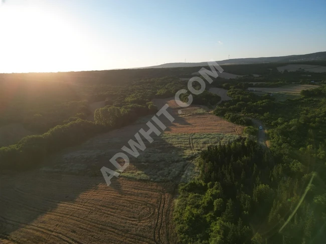 ÇATALCA AKALAN TAPULU GÖGÇEALİ KÖY SINIRINDA 344M2 ÇAPLI