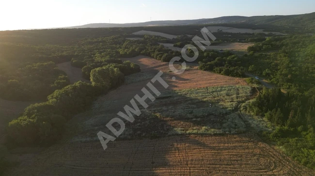 ÇATALCA AKALAN TAPULU GÖGÇEALİ KÖY SINIRINDA 344M2 ÇAPLI