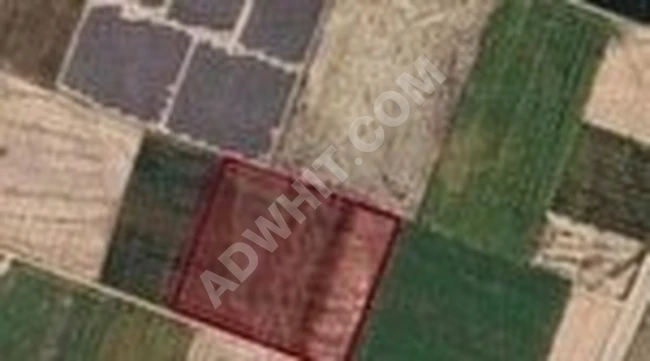 ÇOĞLU KÖYÜNDE SATILIK TARLA 15.5 DÖNÜM 38.820 m2