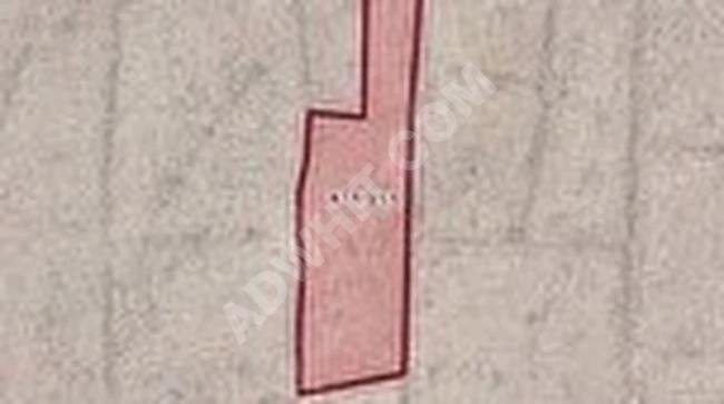 KILBASANDA SATILIK 3.000 M2 BAĞ