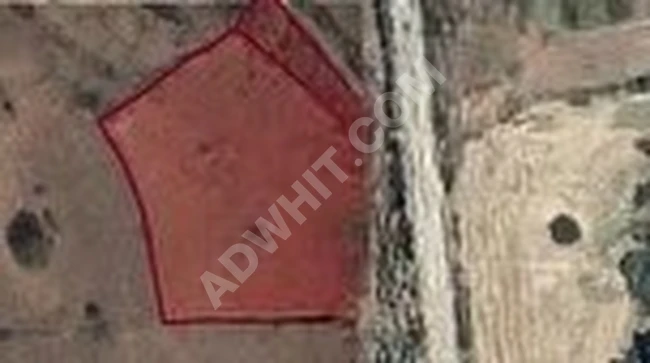 MORCALI KÖYÜNDE SATILIK 6.500 MT 2 2 PARSEL BAĞ