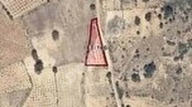 MORCALI KÖYÜNDE SATILIK 651 MT2 BAĞ