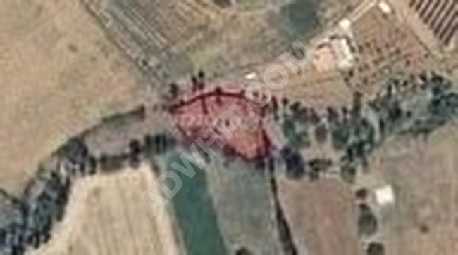 MORCALI KÖYÜNDE SATILIK 807 MT 2 BAĞ