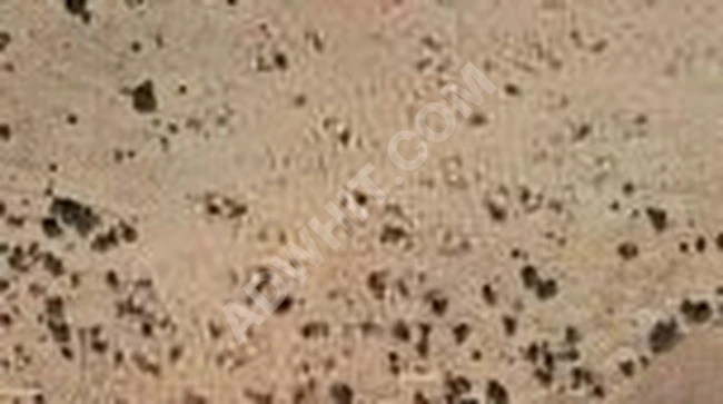 GÖÇER KÖYÜNDE SATILIK 4.000 m2 TARLA