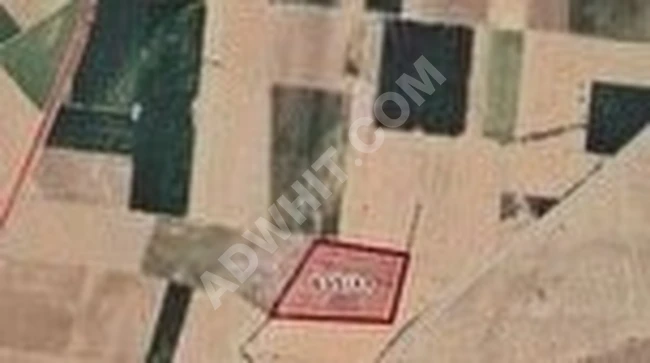 İMPARATOR GAYRİMENKULDEN KAZIMKARABEKİR TİMSAL DE SATILIK TARLA