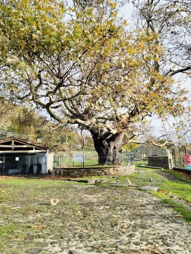 ESKİ BADEMLİDE LEBİ DERYA DENİZ VE SEMADİREK MANZARALI ARSA!!