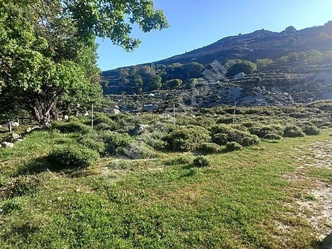 DEĞERİNİ 2 YE KATLAYACAK 3LÜ PAKET ARAZİ SATIŞI ACİLİYETTEN!!!