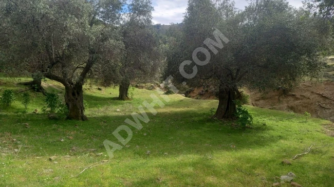 DEĞERİNİ 2 YE KATLAYACAK 3LÜ PAKET ARAZİ SATIŞI ACİLİYETTEN!!!