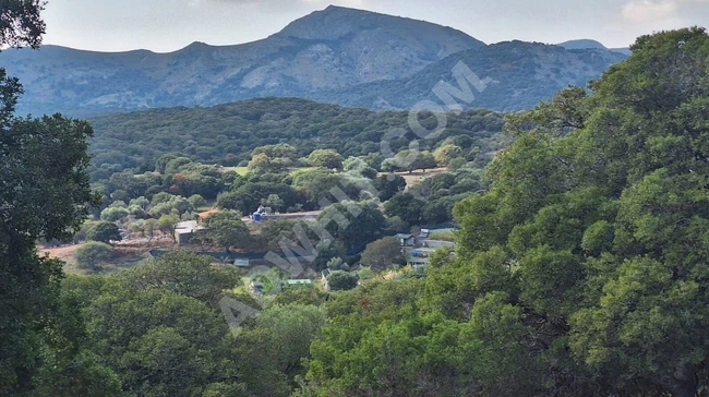 GÖKÇEADA ACİL YATIRIMLIK 6 DÖNÜM ARAZİ GELECEĞİNİZE YATIRIM!!!