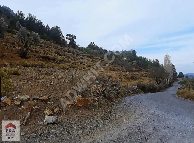 GAZİPAŞA ILICA KÖYÜ YERLEŞİM ALANI İÇİNDE 140m. ANAYOLA CEPHELİ